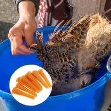 10 Pcs Chicken Plucker Drill