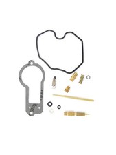 Carburetor Repair Kit for