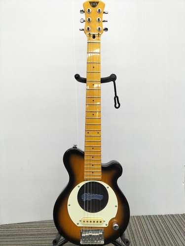 Pignose pgg 100 electric - pgg-100,