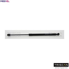 GAS SPRING BOOTCARGO AREA 8710