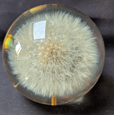 Vintage Large Hippocampus