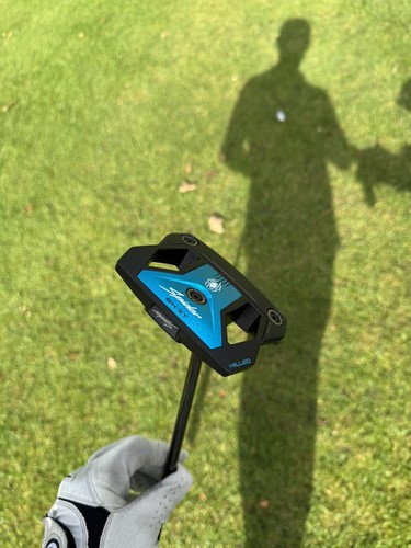 Taylormade spider zero torque - taylormade,