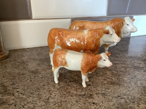 Border fine arts simmental - border,