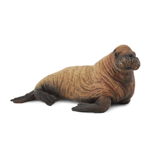 Collecta walrus calf - walrus,