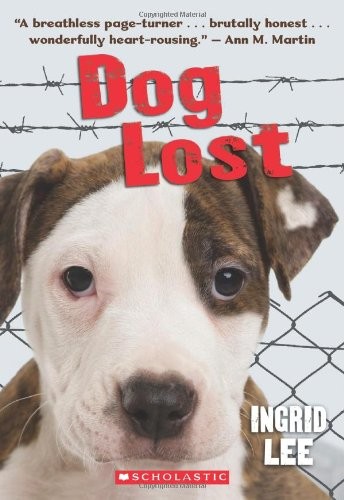Dog lost - dog,