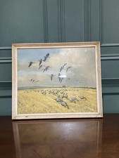 Vintage Peter Scott Print “Pinkfeet Coming To A Stubble Field”
