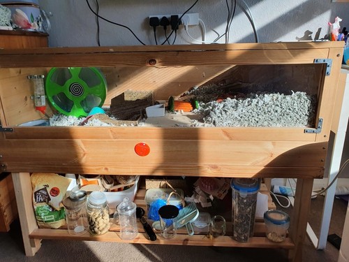 Large wood hamster - wood, cage