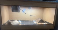 Vivarium Set Up Complete Oak For Reptiles Tortoises Snakes Lizards 