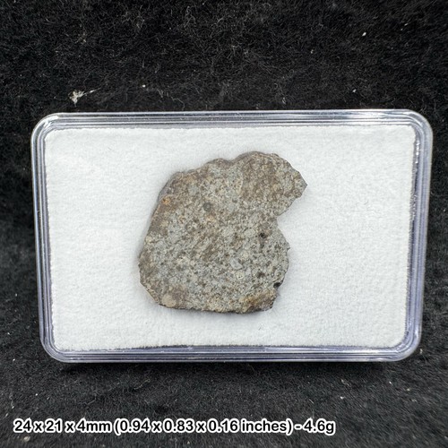 Nwa 869 meteorite - 869, slice