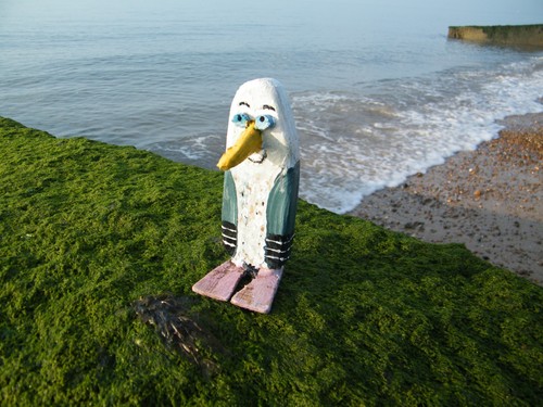 Lil capn driftwood seagull - capn",