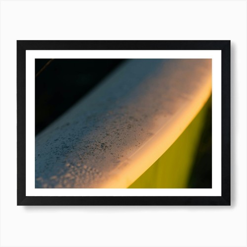 Hobie cat detail art - cat,