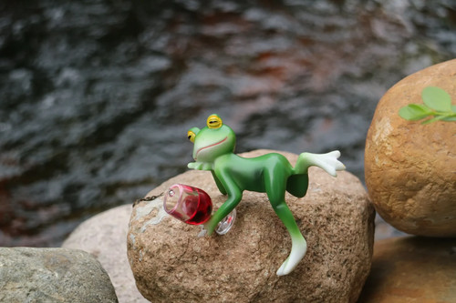 Frog hanging flower - frog,