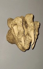 Halloween Decor/Dungeons &