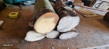 Holly Wood Logs Woodturning