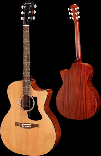 Eastman pch1 gace 2023 edition - eastman,