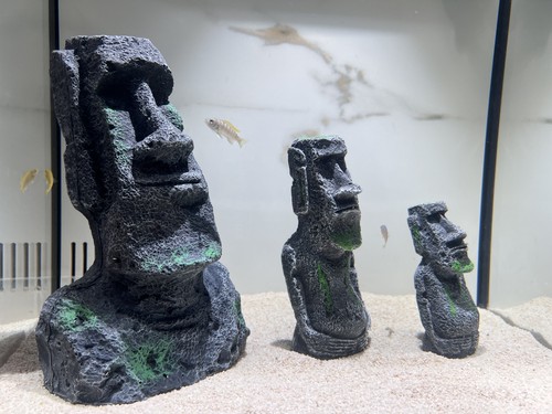Aquarium easter island stone - aquarium,