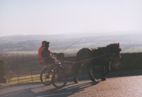 Photo 6x4 pony and - trap, high