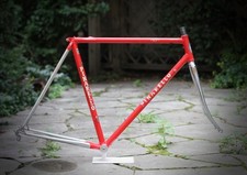 Pinarello Treviso GPX Frame / 54.5 cm / Red / Campagnolo gavia montello asolo