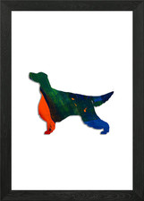 Gordon Setter Gordonsetter