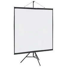 WALPLUS Projection Screen with