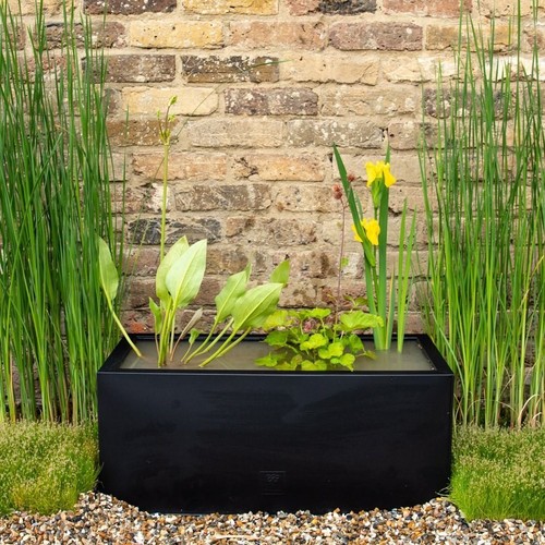 Pond pot trough black - in,