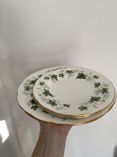Duchess ivy 509 fine - ivy,