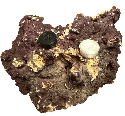 Coral frag twist lock plug - frag,