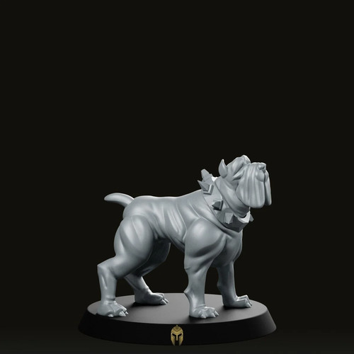 Companion mastin dog - dog, miniature