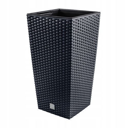 Tall plant flower pot - plant,