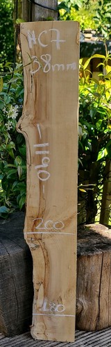 Spalted chestnut live - spalted,