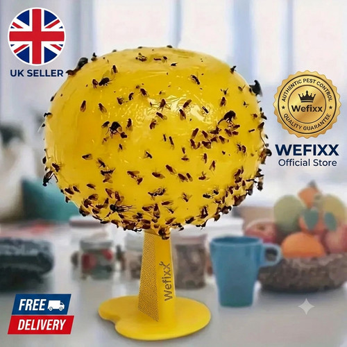 Fruit fly balls - fruit,