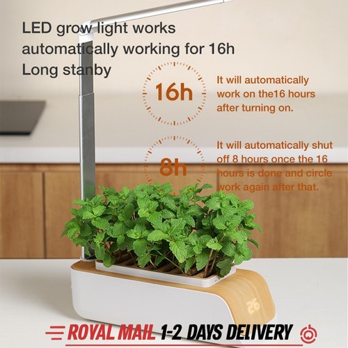Smart herb garden - herb,