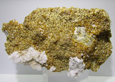 Large Wulfenite xx Level ⚒ Mezica / Slovenia; Doroteja Area