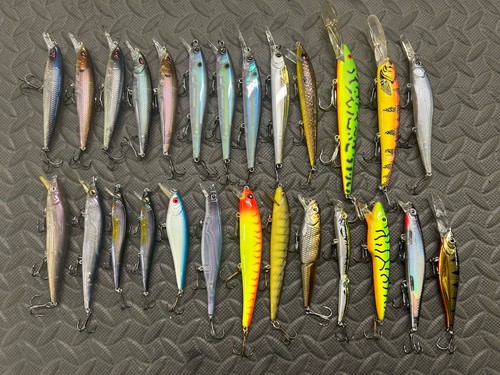 Fishing lures jerkbaits - fishing,
