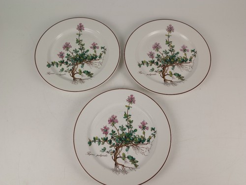 Villeroy boch botanica - &,