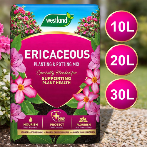 Westland ericaceous compost - westland,