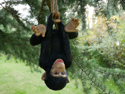 Hanging garden monkey - ,