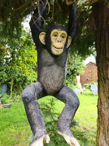 100cm hanging chimpanzee - 100cm,