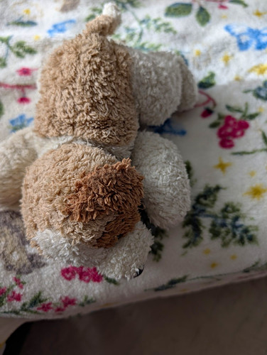 Doudou compagnie plush - doudou, et