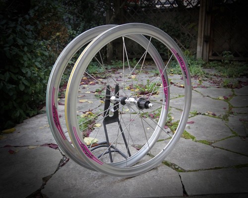Campagnolo shamal hpw - 12,