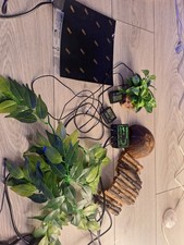 Snake Starter Pack Juvenile Milk Snakes Corn Snakes, Hognose Eco-Pack