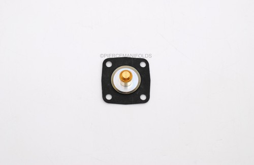 Pump diaphragm for - pump,