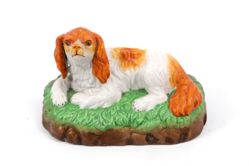 King charles spaniel dog - king,
