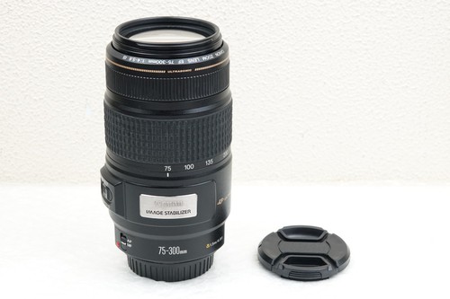 Canon 300mm 5 6 is - ef, 75-300mm