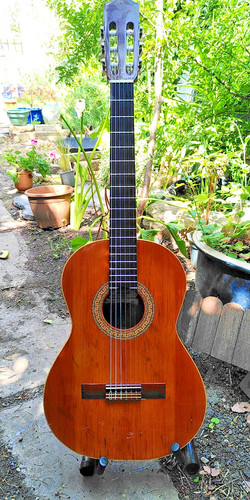 Alhambra solid cedar top - 2c,