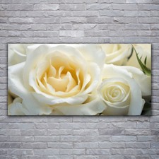 Glass print Wall art 120x60