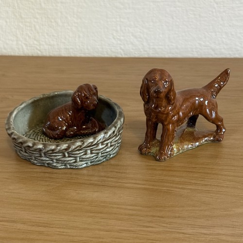 Wade irish setter dog - irish,