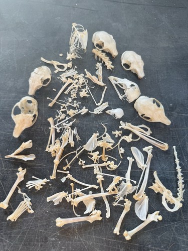 Huge lot real - lot, of