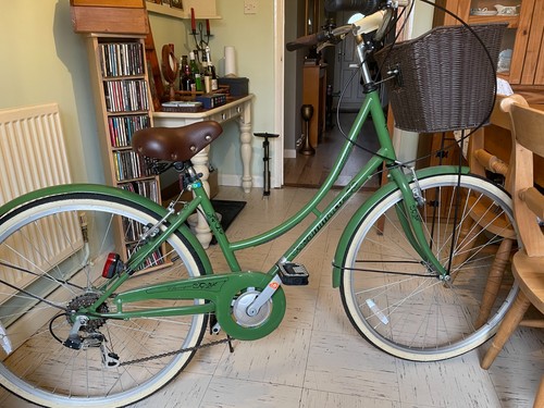 Ammaco classique dutch - ammaco,