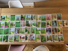 David Hockney The Arrival Off